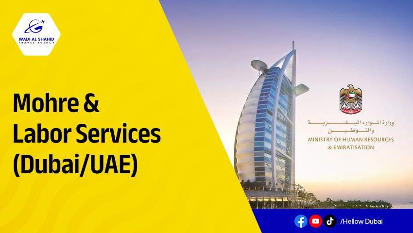 MOHRE & LABOUR SERVICES